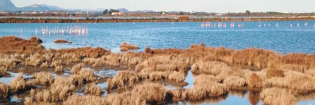 Image Installateur carport solaire Lattes